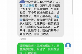 衡阳为什么选择专业追讨公司来处理您的债务纠纷？